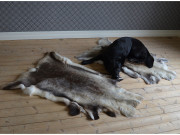 Reindeer hide