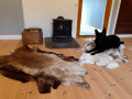 Reindeer leather first sorting raindeer hides
