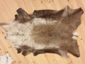 Reindeer leather first sorting raindeer hides