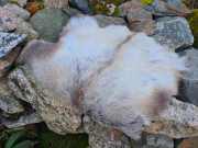 Seat pad made of silicone-treated reindeer skin for outdoor use