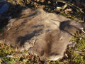 Seat pad made of silicone-treated reindeer skin for outdoor use seat pads