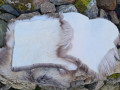 Seat pad made of silicone-treated reindeer skin for outdoor use seat pads