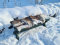 Seat pad Reindeer skin Outdoor use De Luxe