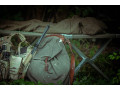 US Field cot foldable tent beds