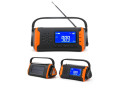 Emergency radio with crank and LCD screen emergency radio