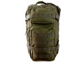 Militär Ryggsäck Assault Assault Pack 25L Grön